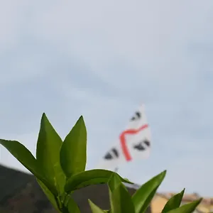  Bed & Breakfast Sa Mariposa